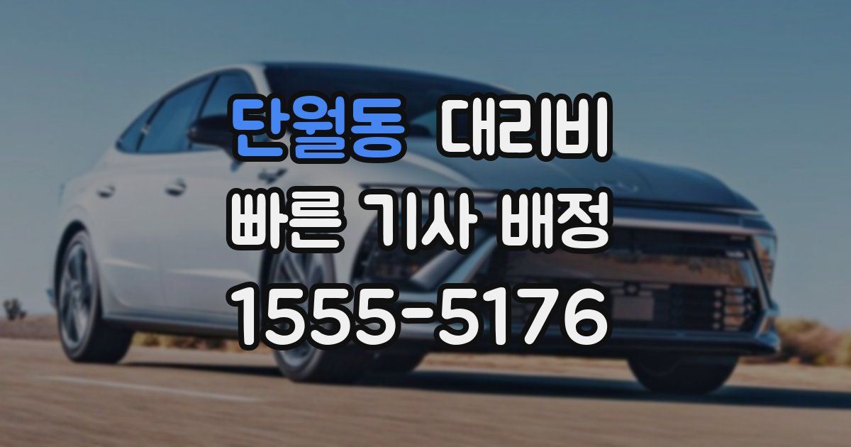 단월동 대리운전 가격