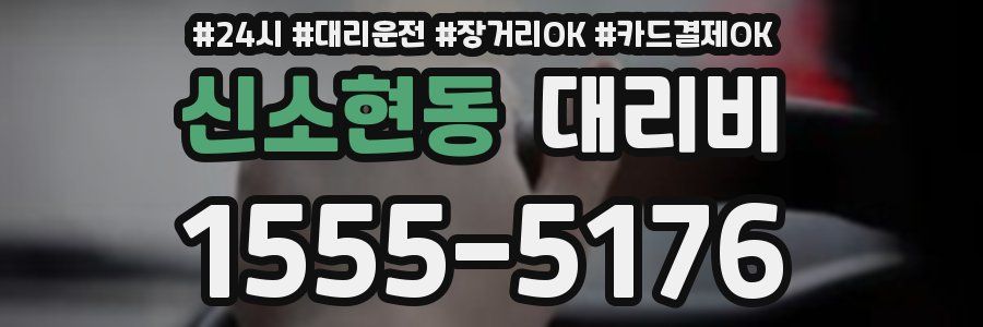 신소현동 대리비