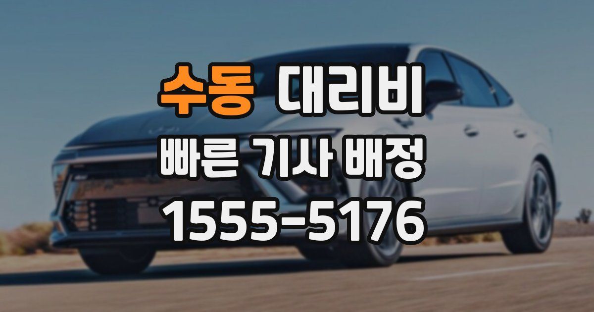 수동 대리운전 가격