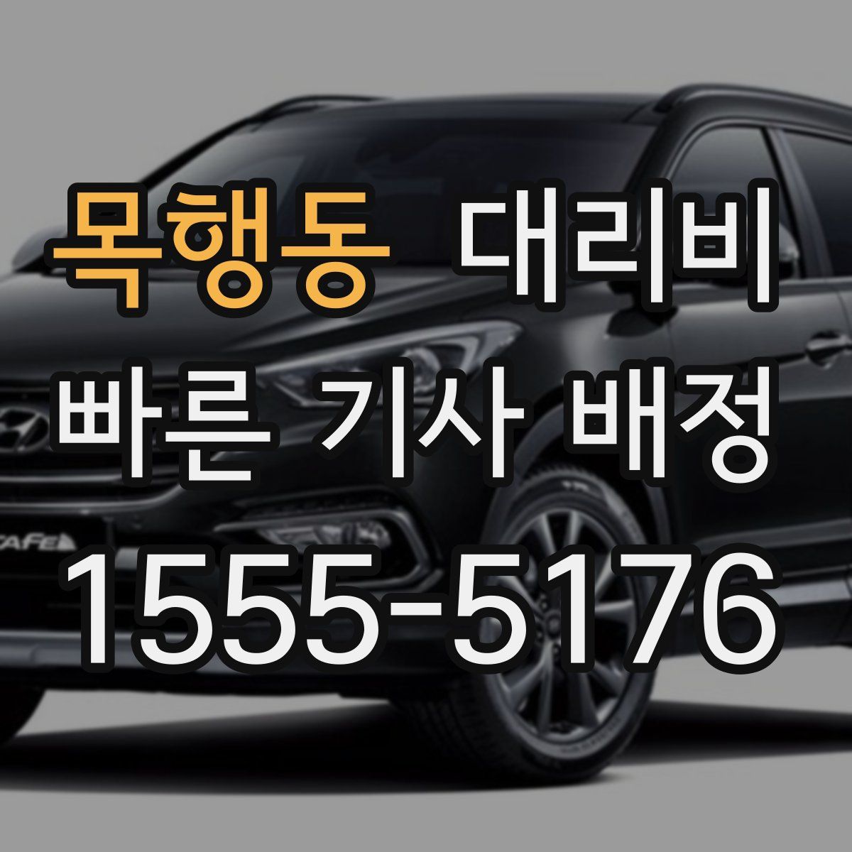 목행동 대리운전