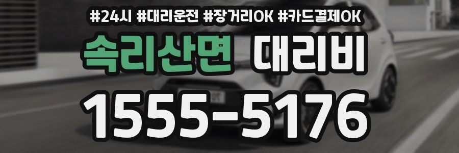 속리산면 대리비