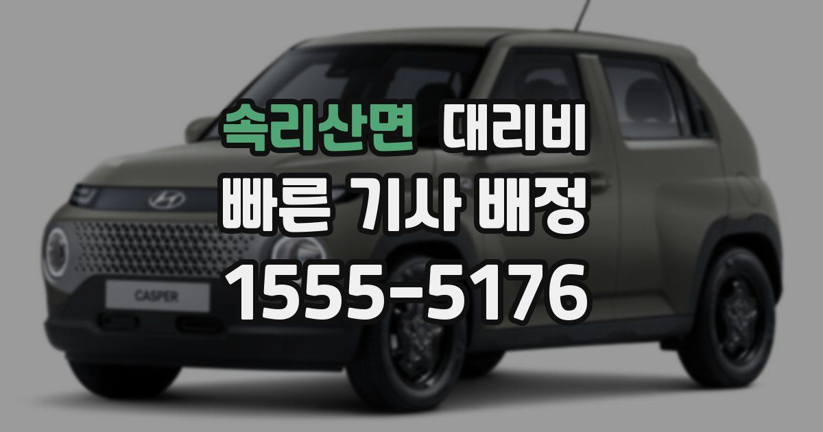 속리산면 대리운전 가격