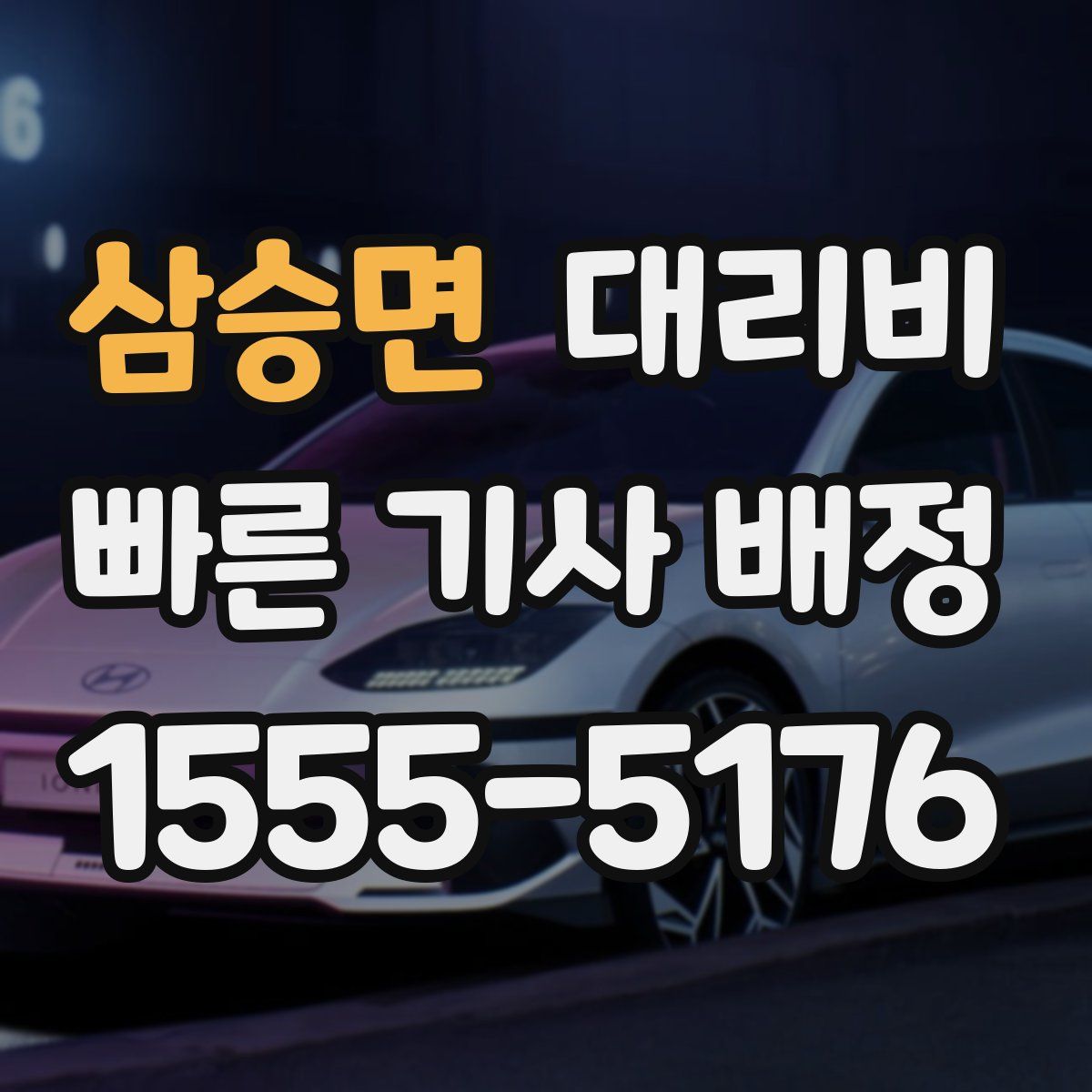 삼승면 대리운전