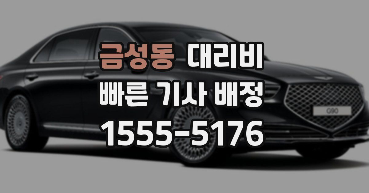 금성동 대리운전 가격