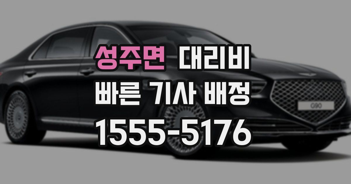 성주면 대리운전 가격