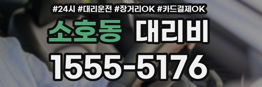 소호동 대리비