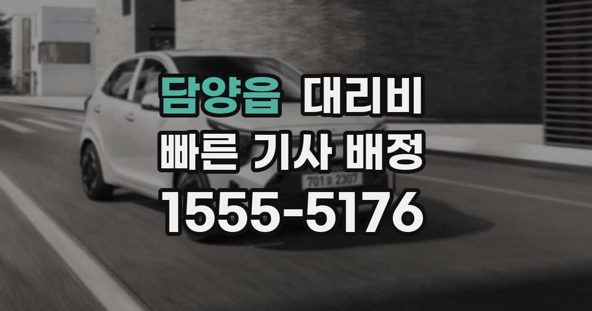 담양읍 대리운전 가격