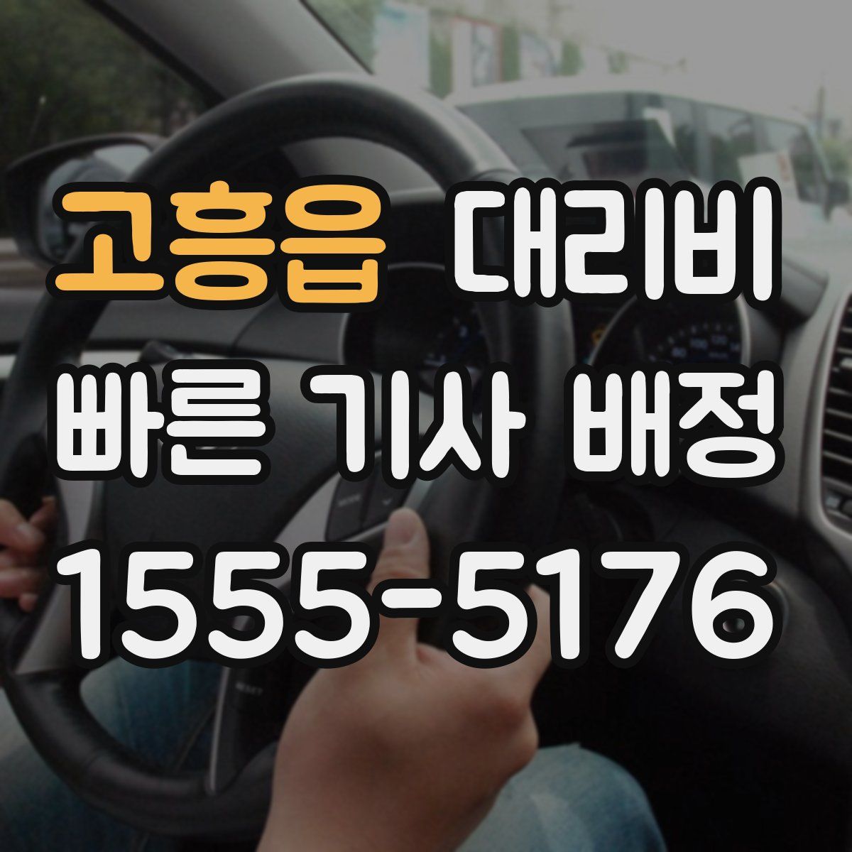 고흥읍 대리운전
