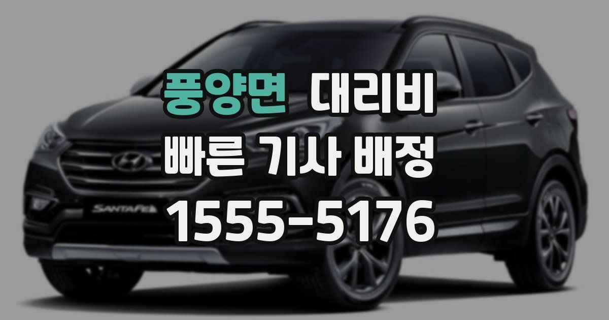 풍양면 대리운전 가격