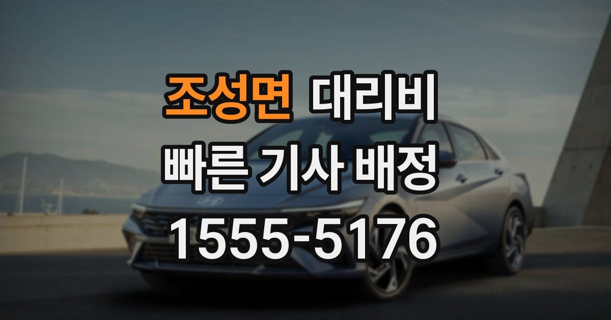 조성면 대리운전 가격