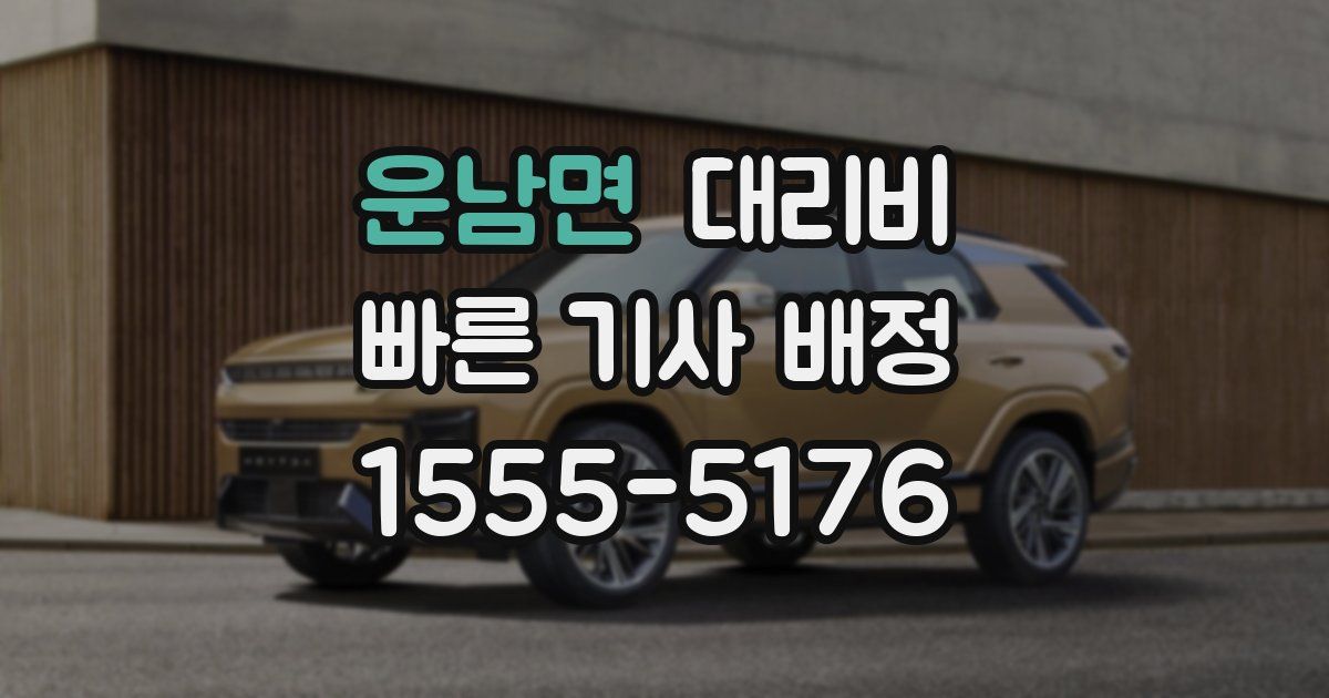 운남면 대리운전 가격