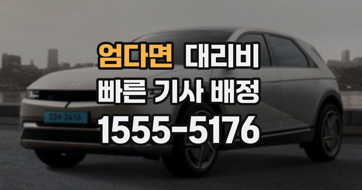 엄다면 대리운전 가격