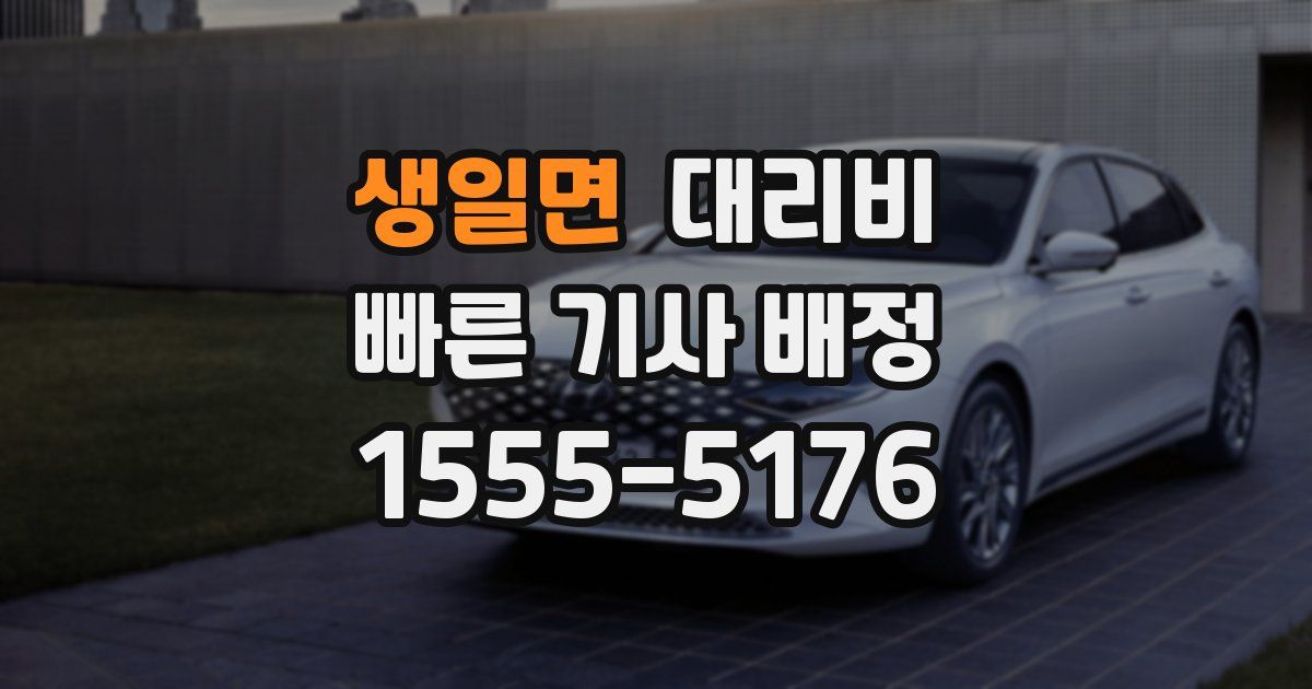 생일면 대리운전 가격