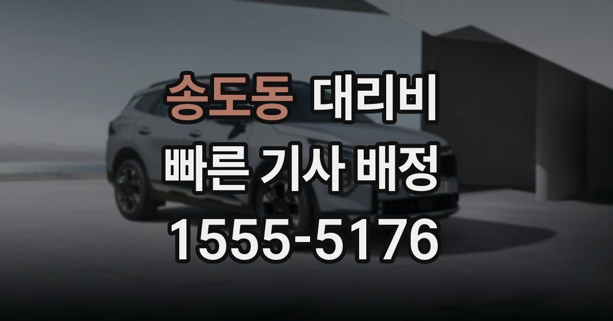 송도동 대리운전 가격