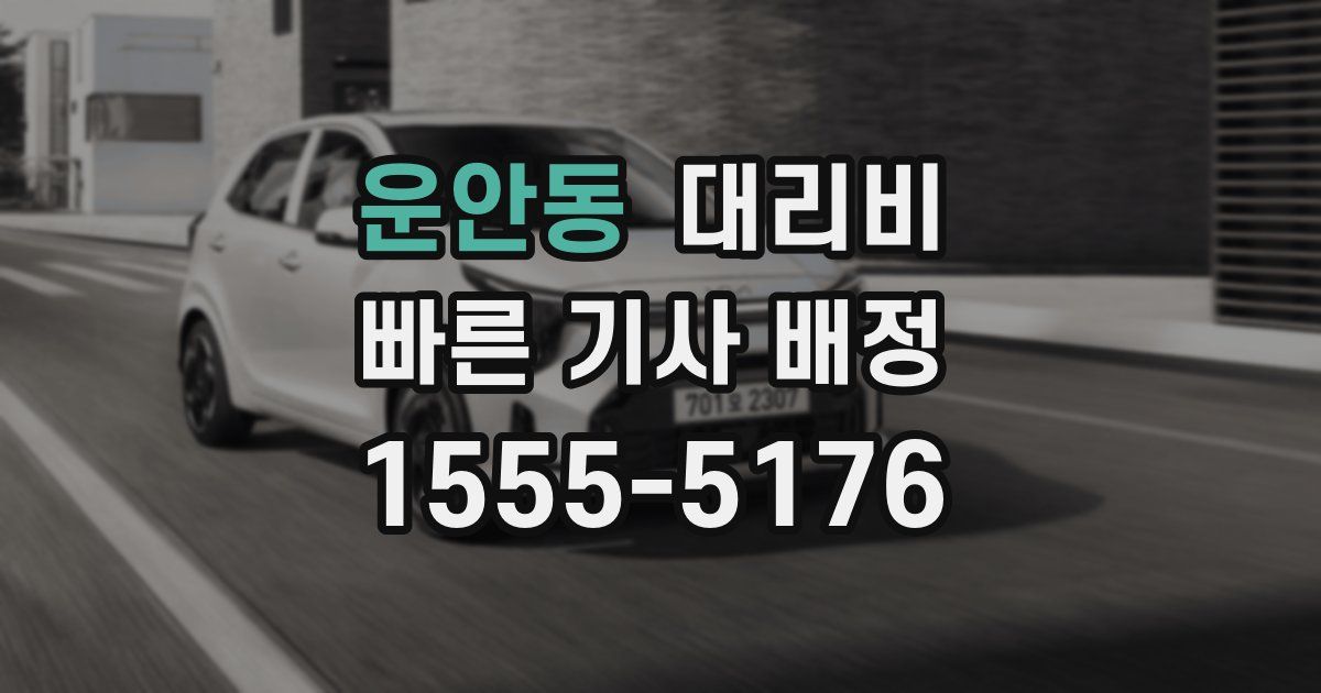 운안동 대리운전 가격