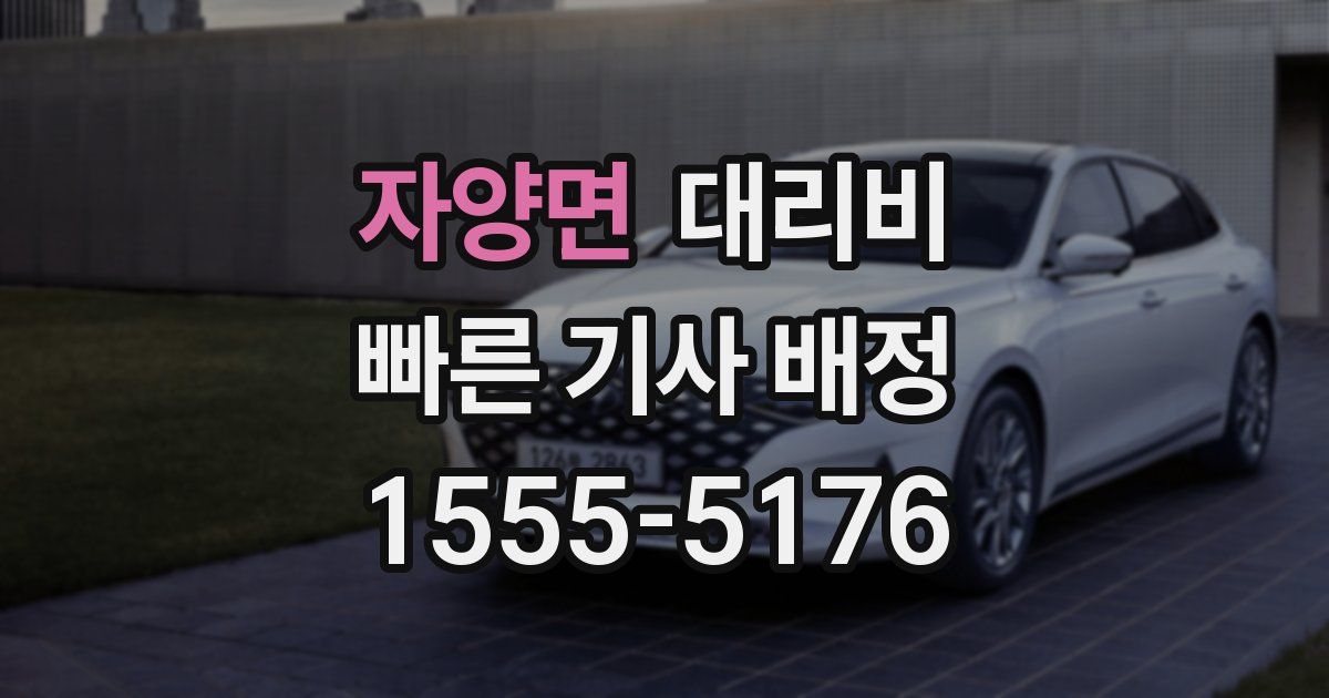 자양면 대리운전 가격