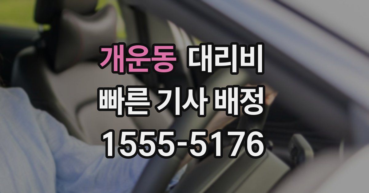개운동 대리운전 가격