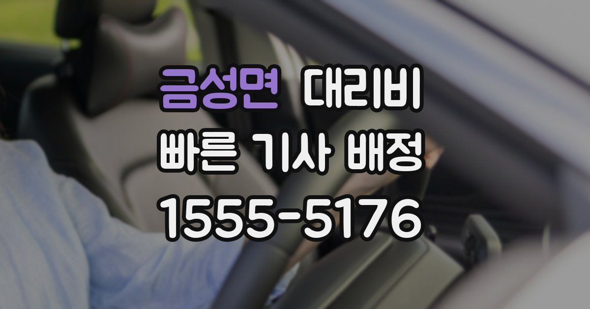 금성면 대리운전 가격