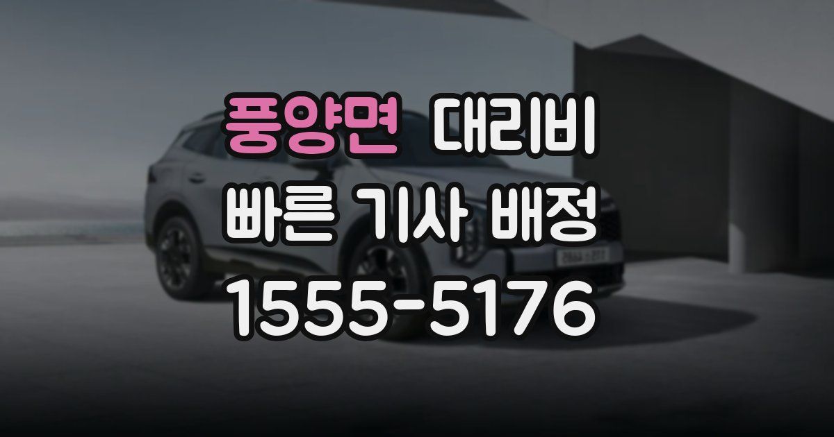 풍양면 대리운전 가격