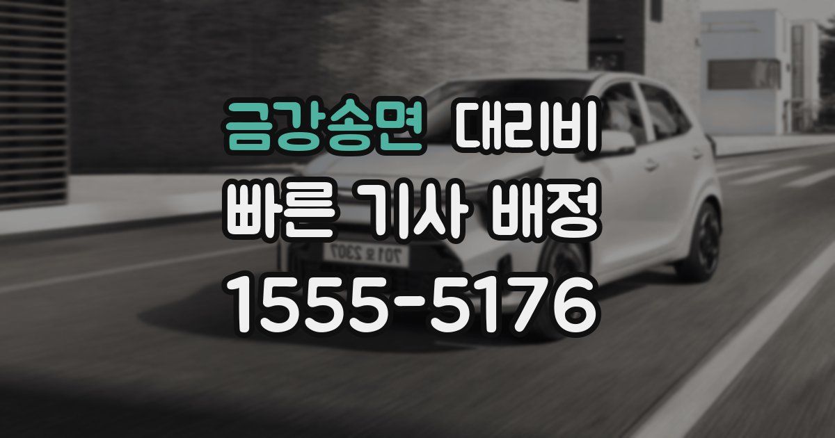 금강송면 대리운전 가격