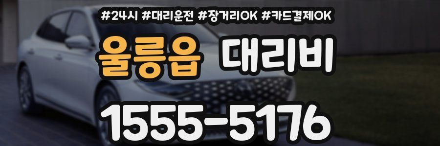 울릉읍 대리비