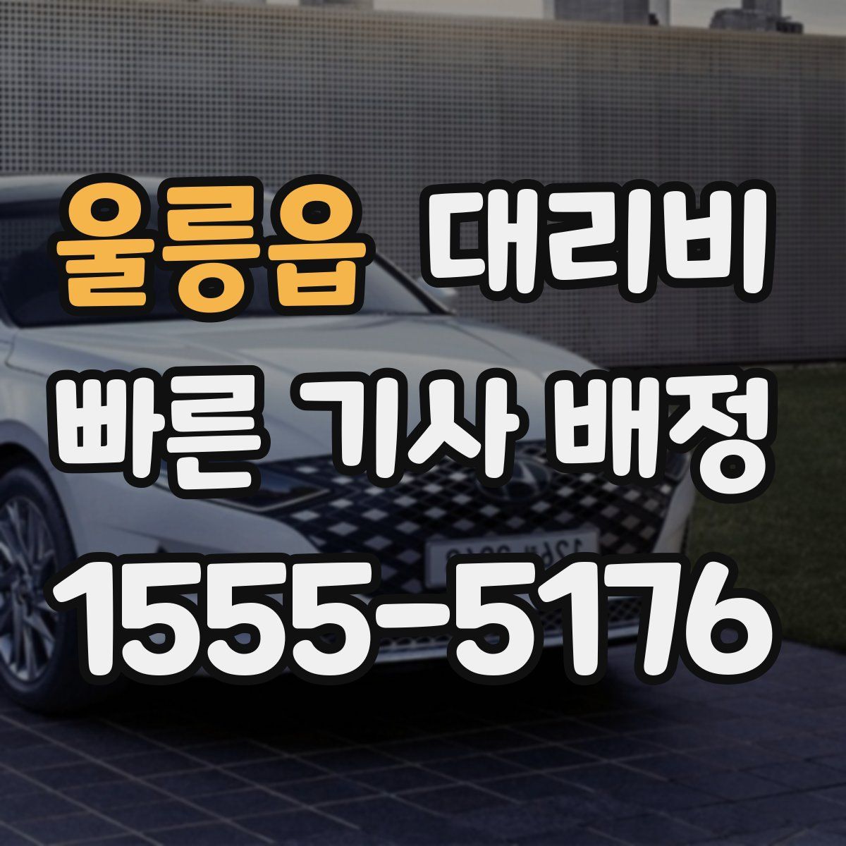 울릉읍 대리운전