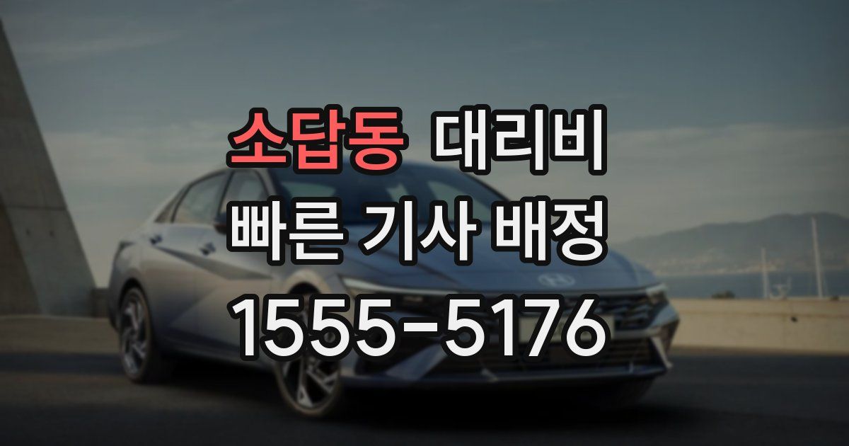 소답동 대리운전 가격