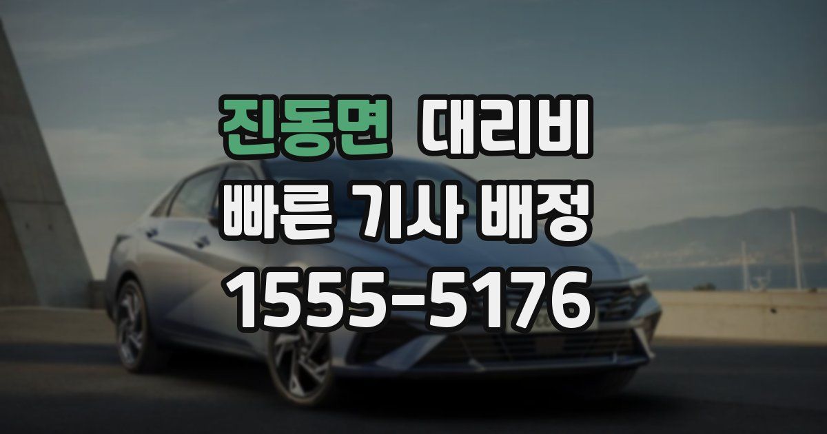 진동면 대리운전 가격