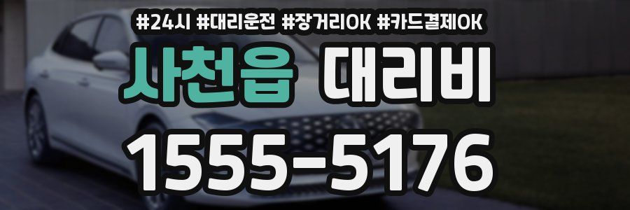 사천읍 대리비