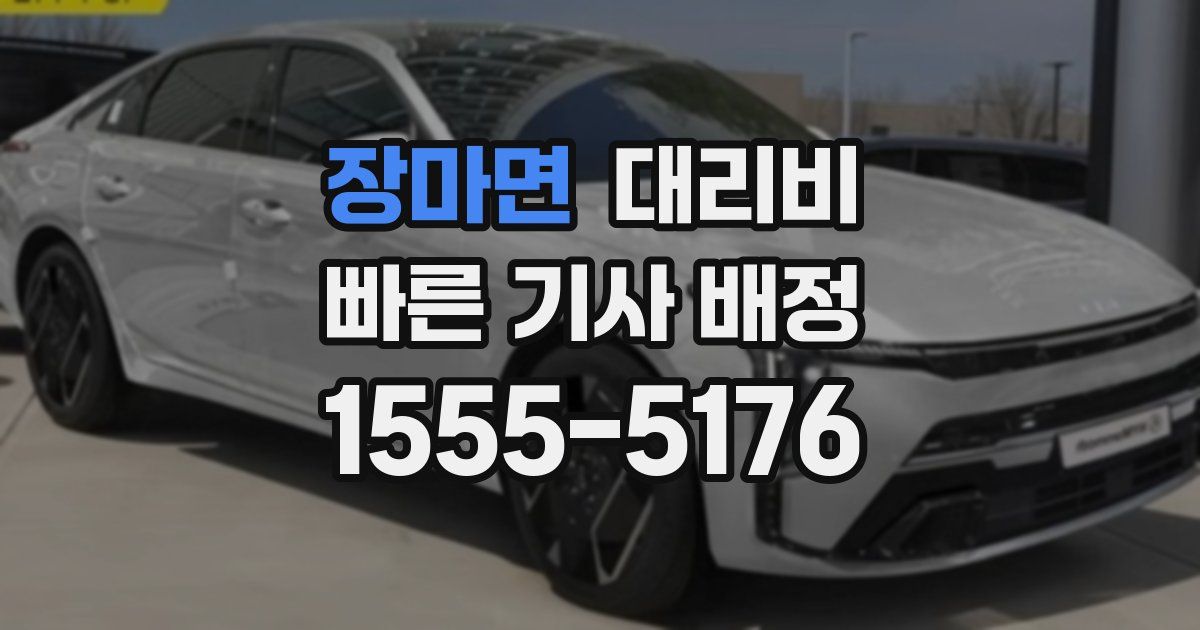 장마면 대리운전 가격