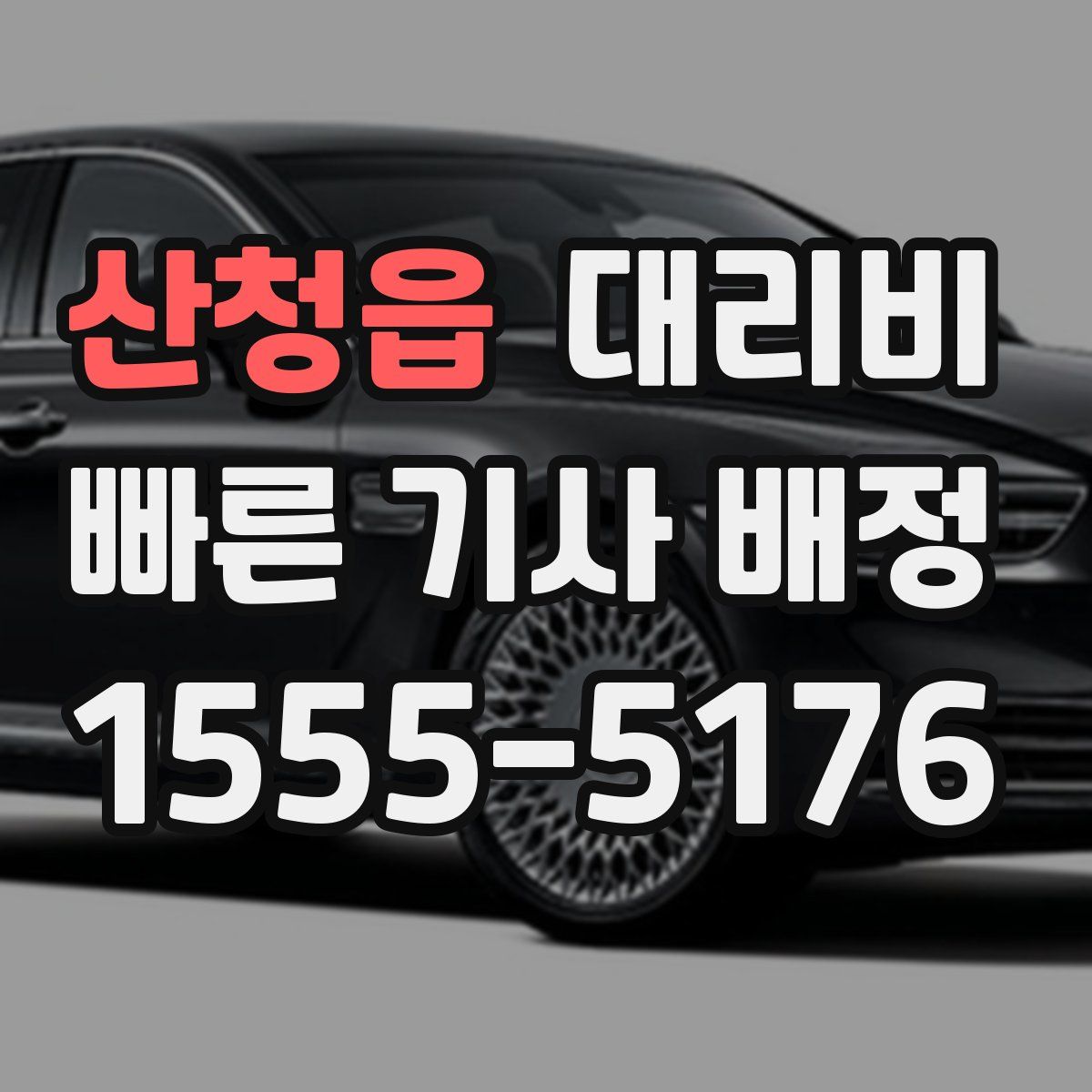 산청읍 대리운전