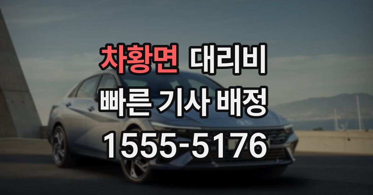 차황면 대리운전 가격