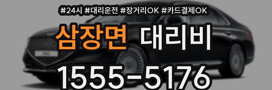 삼장면 대리비