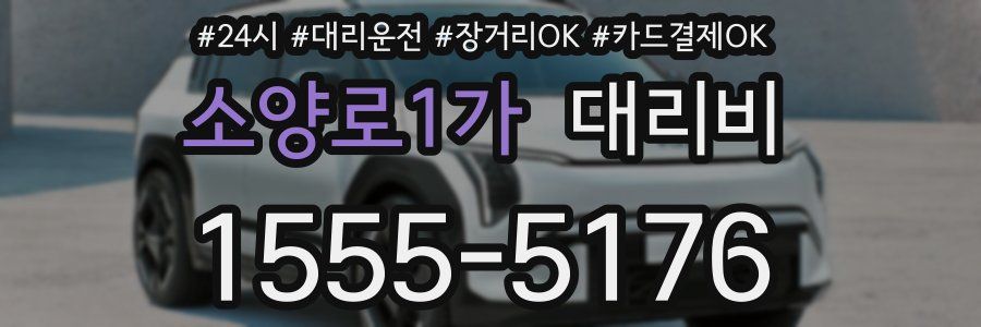 소양로1가 대리비