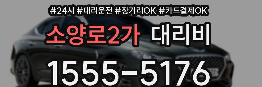 소양로2가 대리비