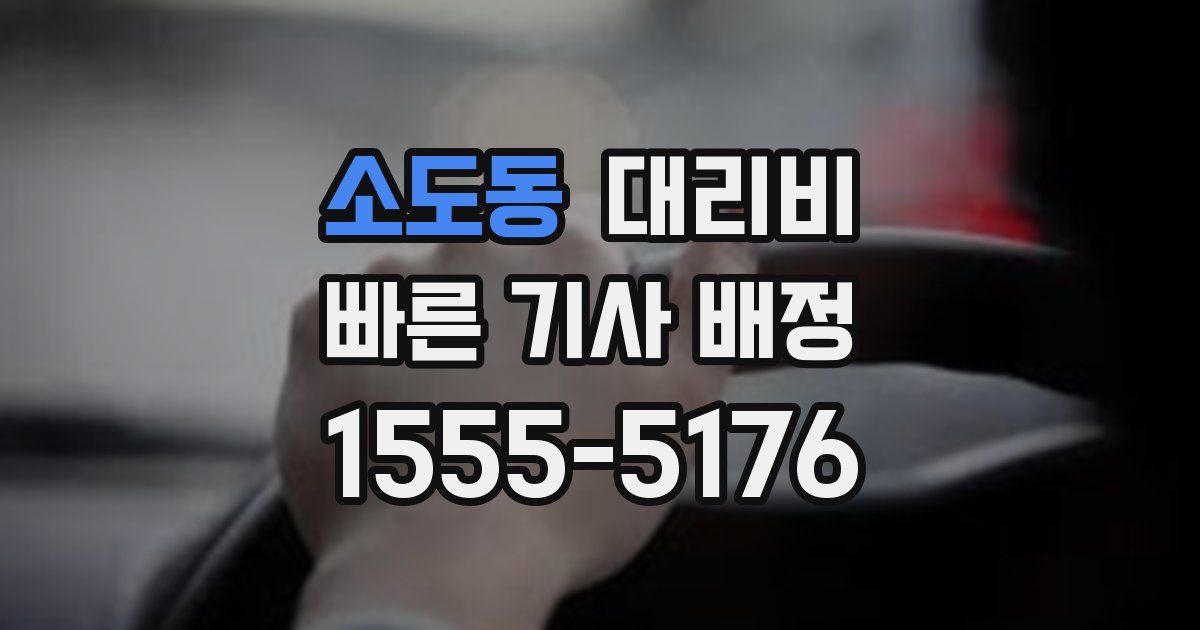 소도동 대리운전 가격