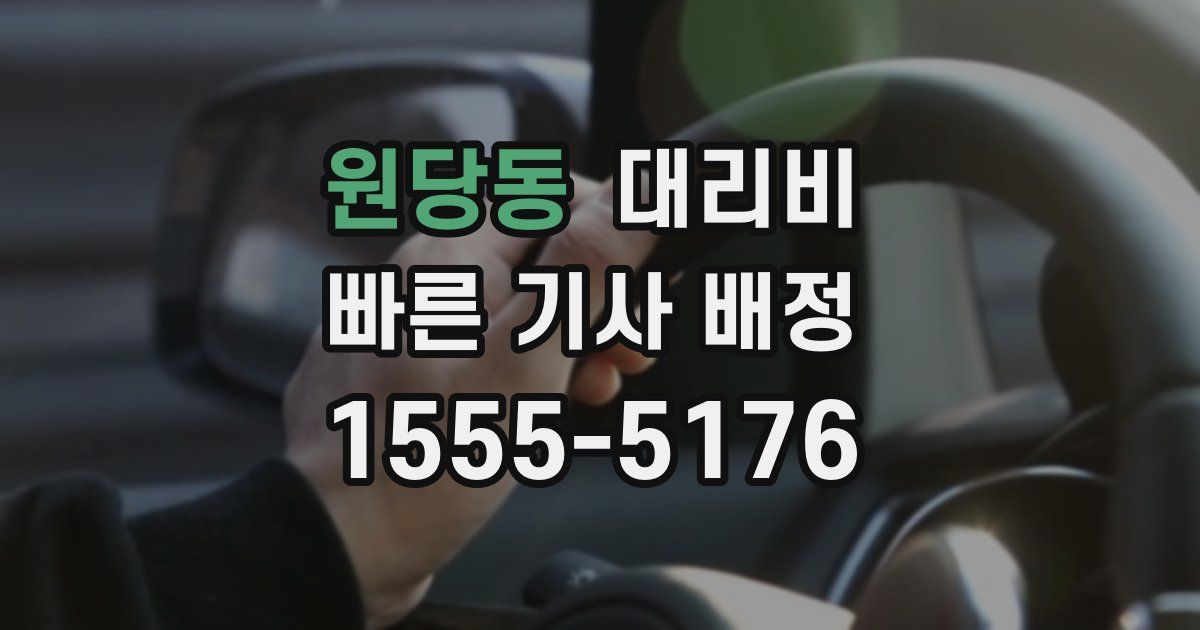 원당동 대리운전 가격