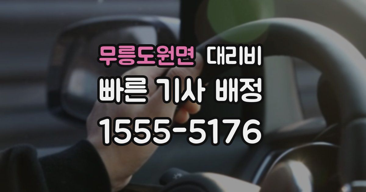 무릉도원면 대리운전 가격