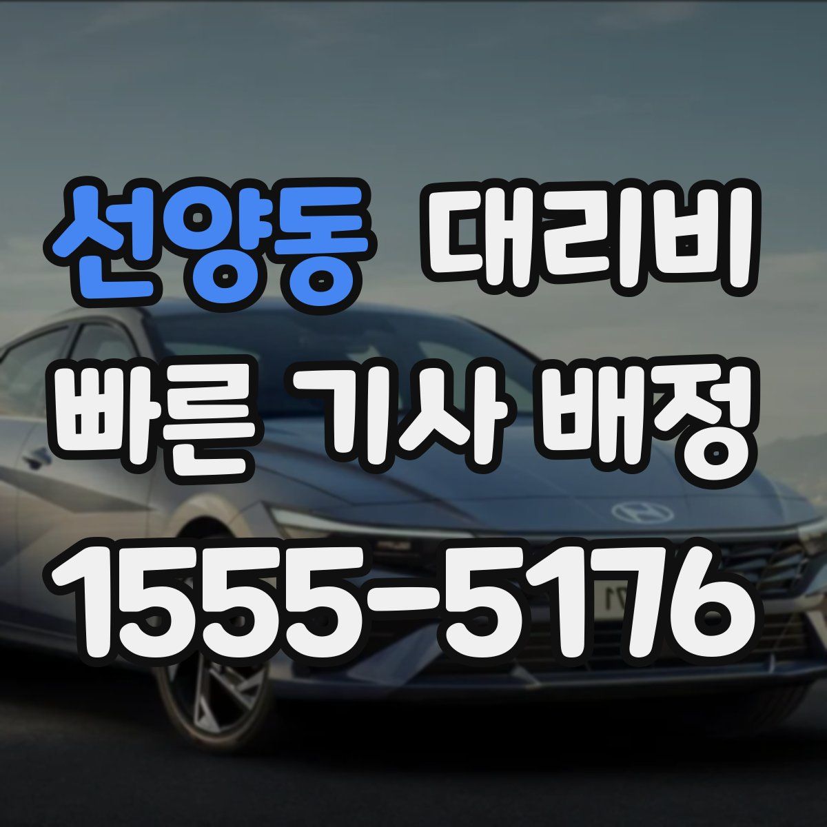 선양동 대리운전