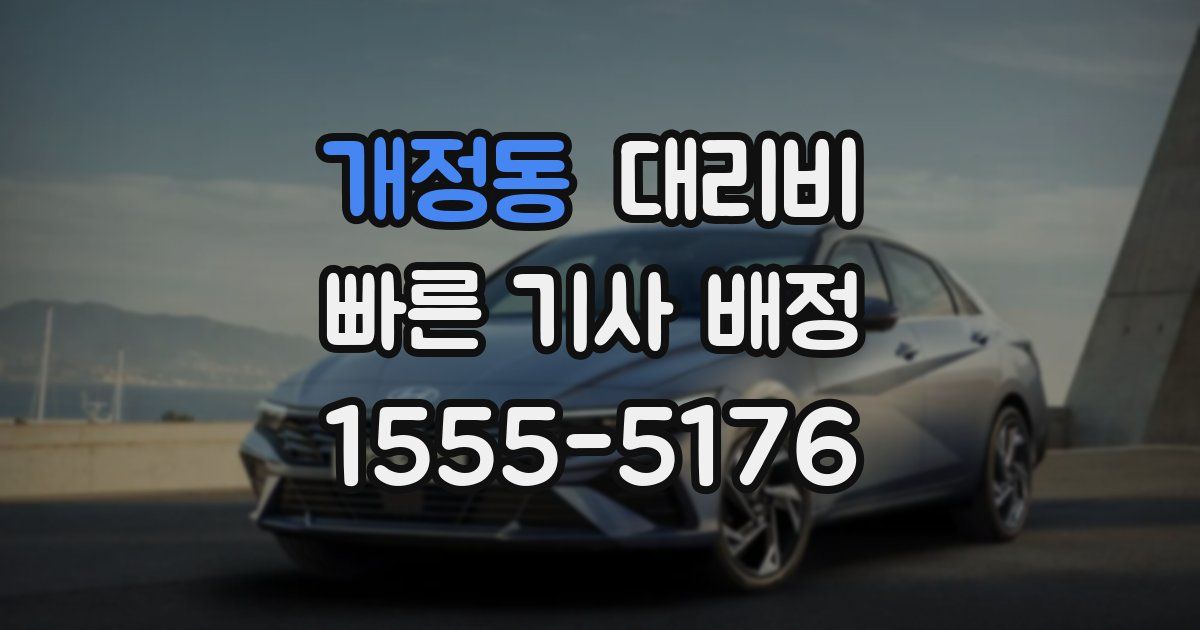 개정동 대리운전 가격