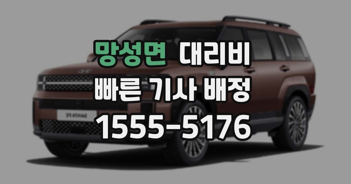 망성면 대리운전 가격