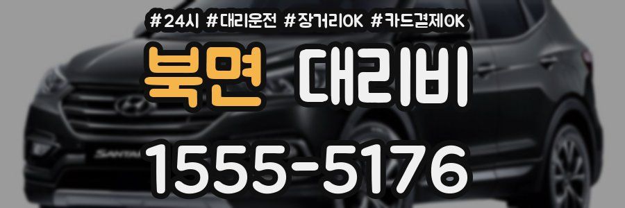 북면 대리비