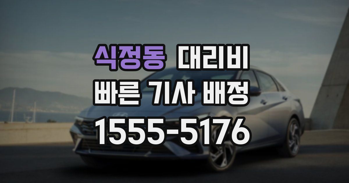 식정동 대리운전 가격