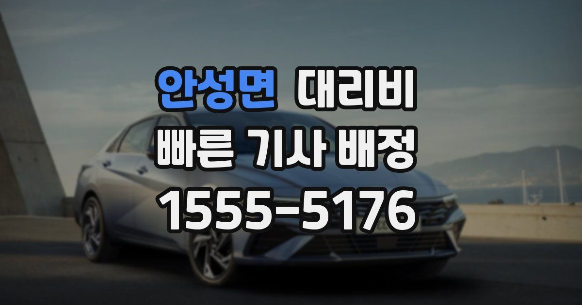 안성면 대리운전 가격