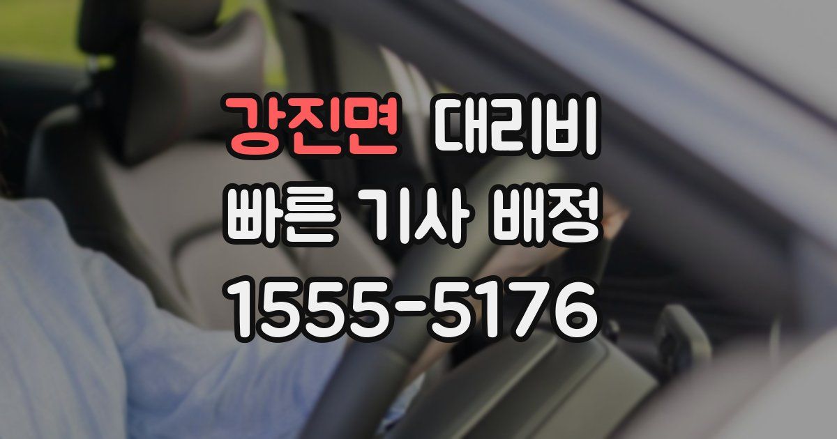 강진면 대리운전 가격