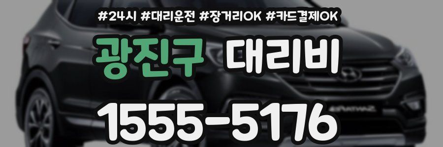 광진구 대리비