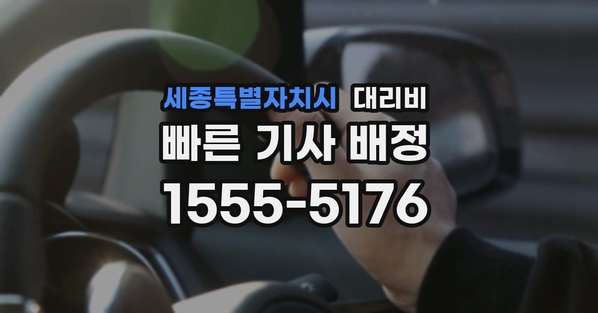 세종특별자치시 대리운전 가격