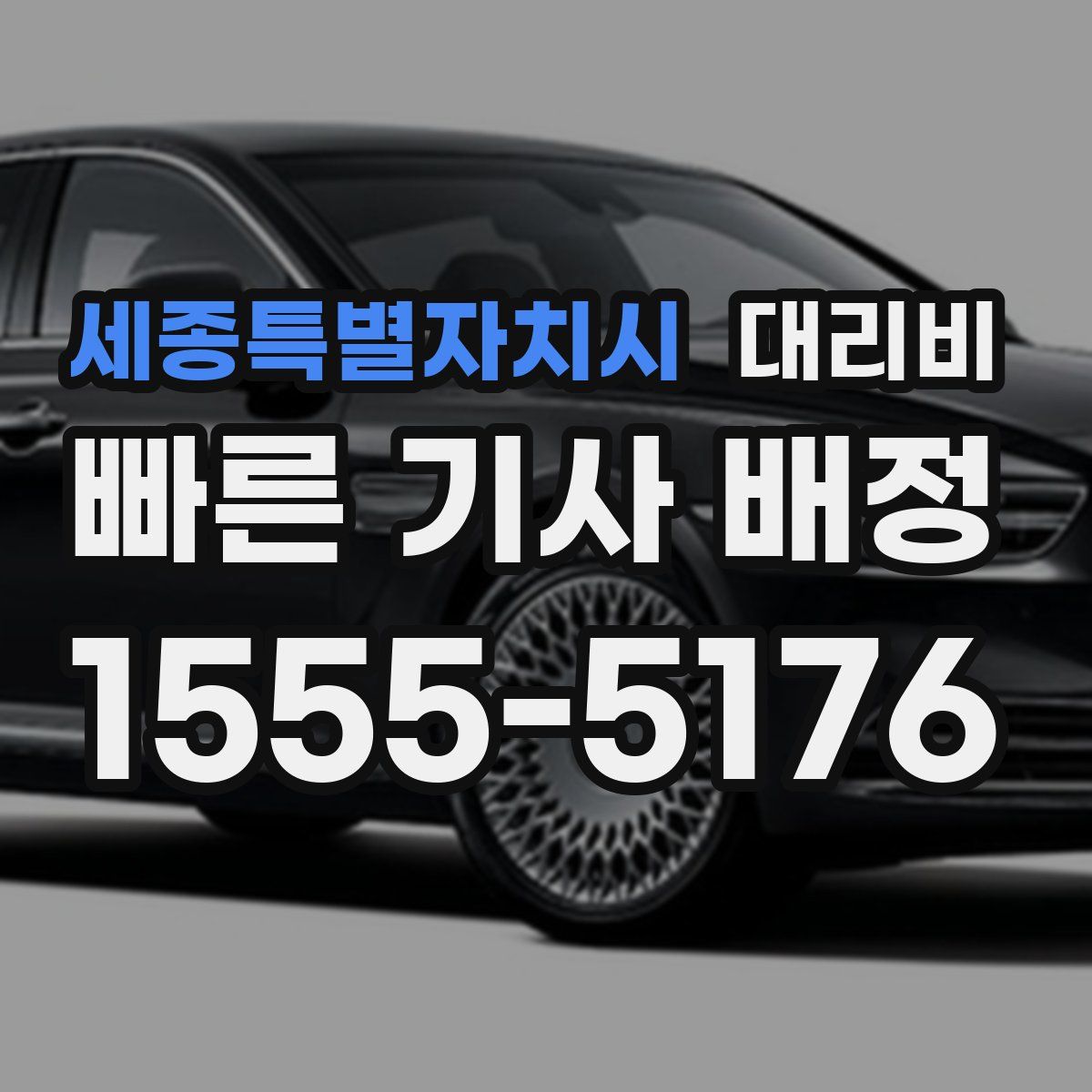 세종특별자치시 대리운전