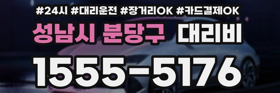 성남시 분당구 대리비