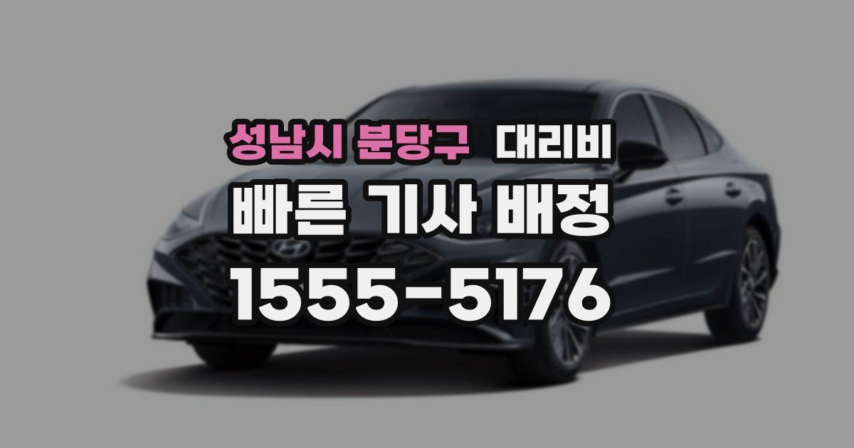 성남시 분당구 대리운전 가격